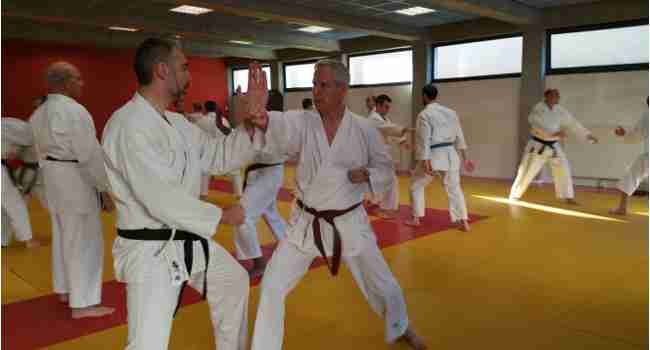 karate metz magnificpopup/ffkda sl-ml-20160117_2.jpg